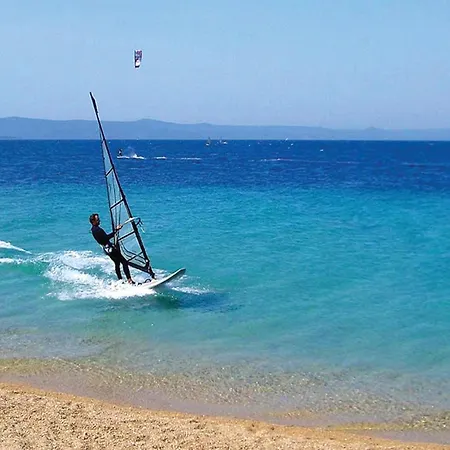 Semesterbostad Pet Friendly In