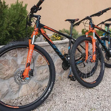 Pet Friendly In Vikendica Orebic