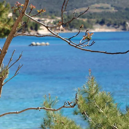 Pet Friendly In Semesterbostad