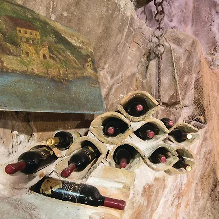 Pet Friendly In Vikendica