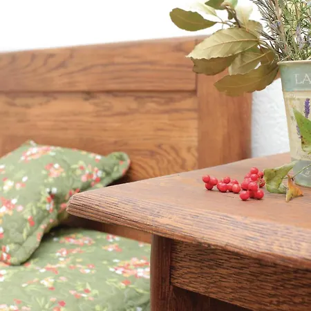 Vikendica Pet Friendly In