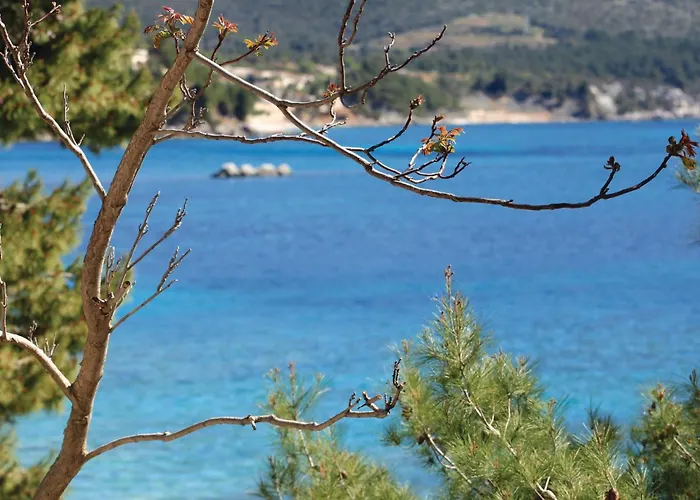 Pet Friendly In Сasa de vacaciones