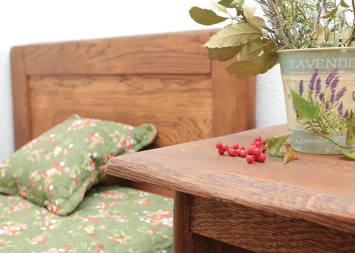 Сasa de vacaciones Pet Friendly In